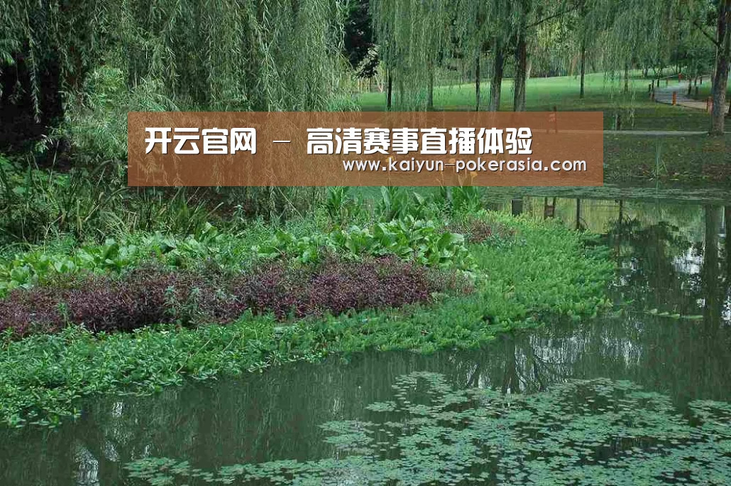 案例展示一(图1)