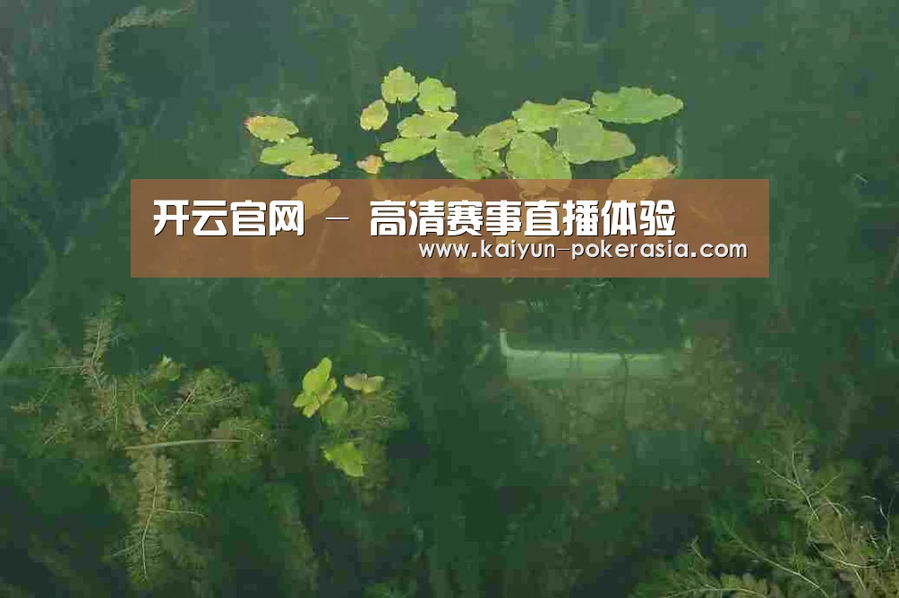 案例展示三(图1)
