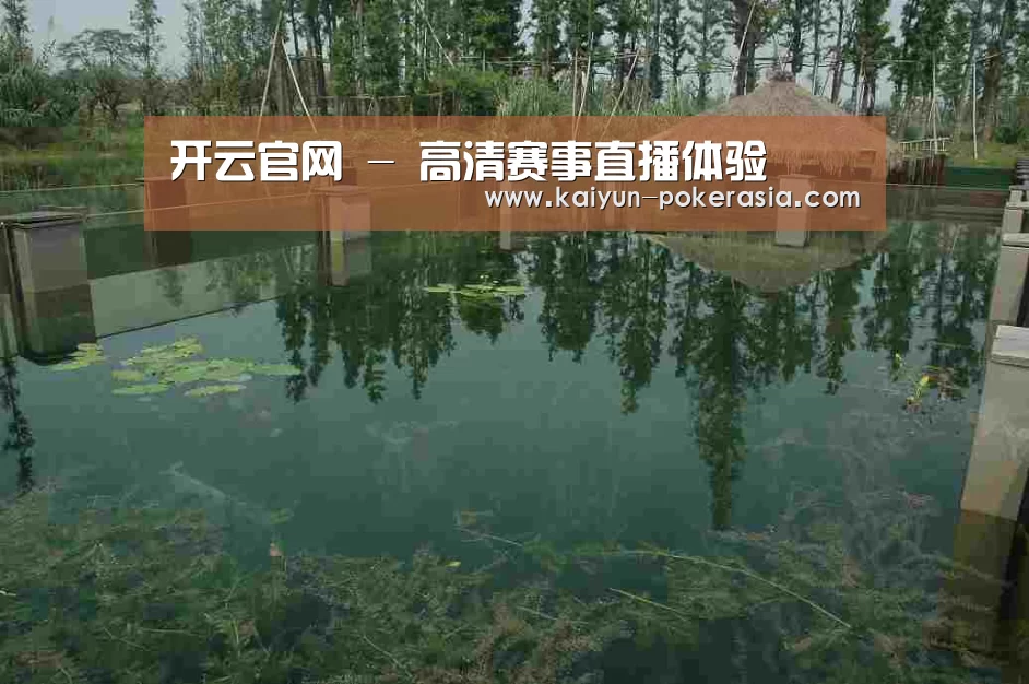 案例展示二(图1)