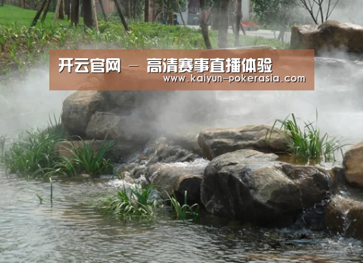 案例展示五(图1)