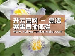 产品名称二