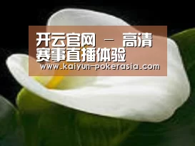 产品名称七