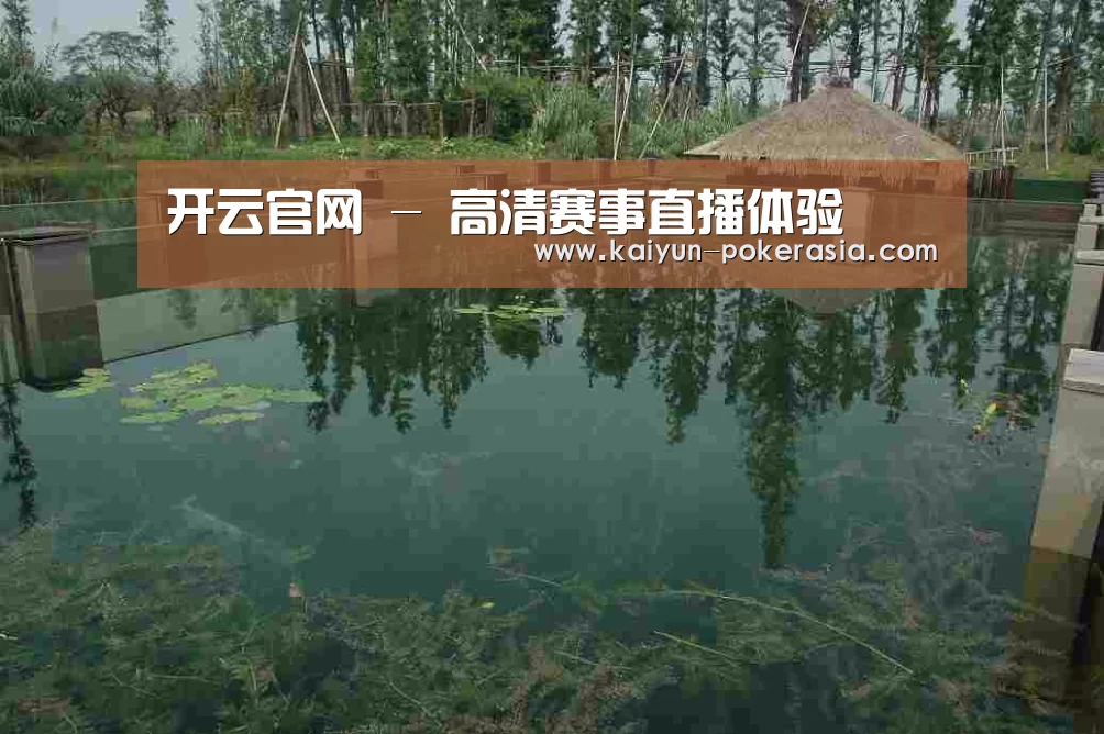 案例展示二