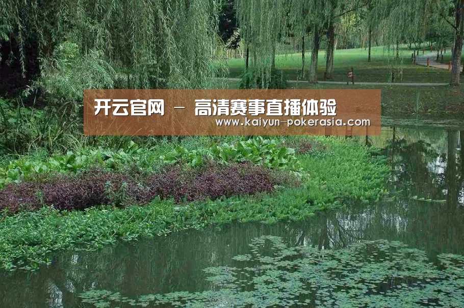 案例展示一