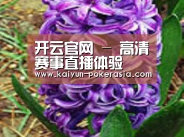 产品名称八