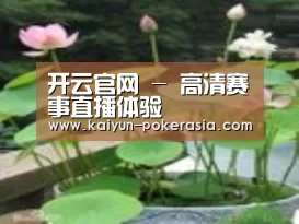 产品名称一