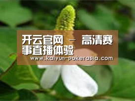 产品名称三