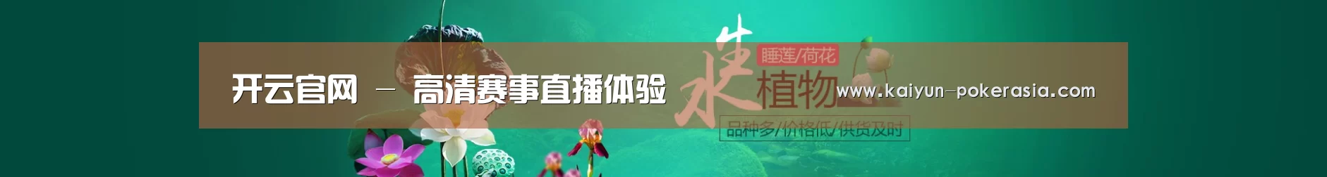 鲜花水草花卉网站模板