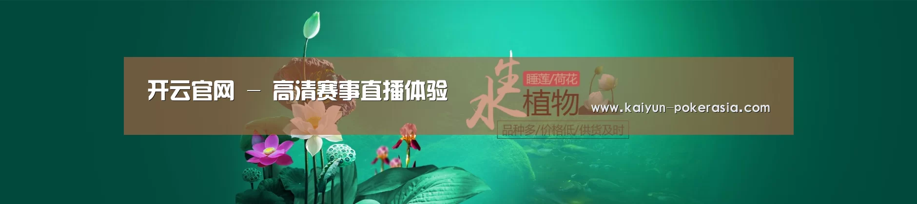 鲜花水草花卉网站模板