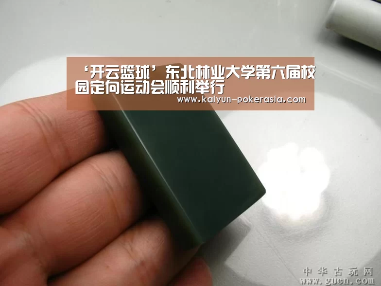 ‘开云篮球’东北林业大学第六届校园定向运动会顺利举行(图1) 开云篮球