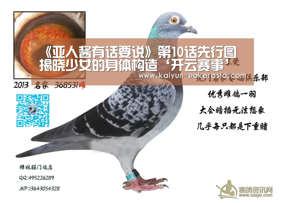 开云篮球